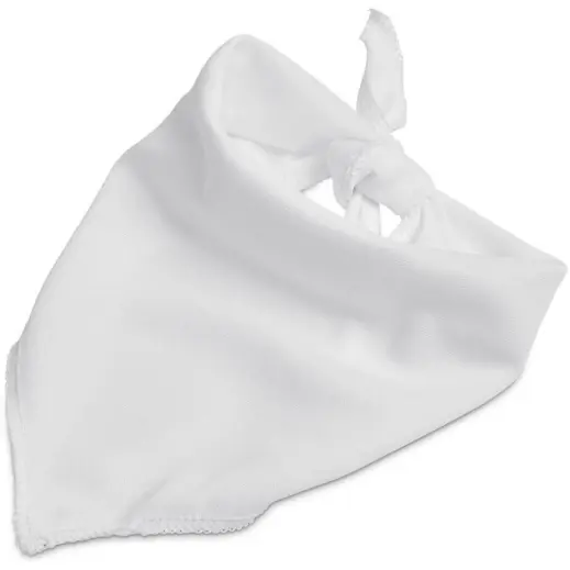 Hoppla Tyson Small Polyester Dog Bandana Unbranded